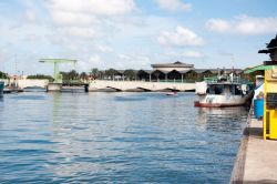 Punda_20120509_009