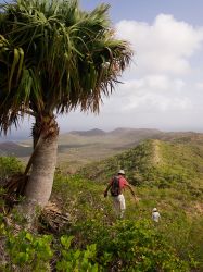 Seru_Gracia_naar_Seru_Bosman_20140605_003