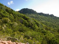 Piedra_Mulina_20120126_013
