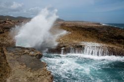 Shete_Boka_20120426_034