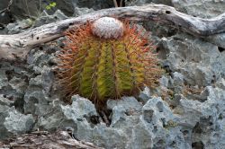 Spookhuis_20120209_044