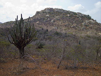 Klein Piscadera Ravenslot 20140403 023 small