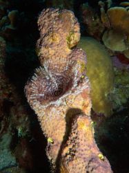Westpunt_20131013_005